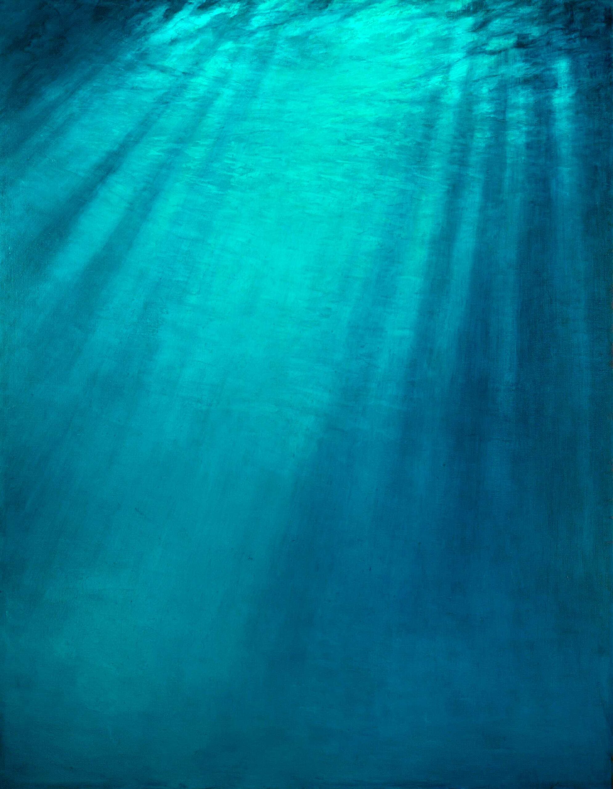 Fondale Marino Venezia - Davide Battistin